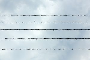 Werken als justitieel Verpleegkundige